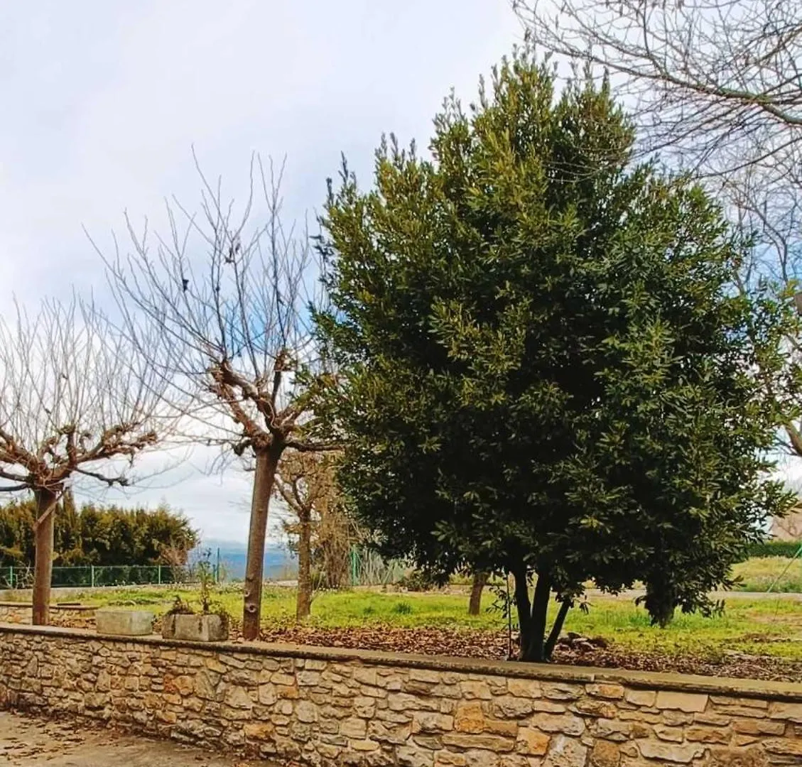 Holiday home Cal Coca Turisme Rural Villa Calders Spain